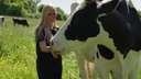 Eine blonde Frau streichelt eine Kuh auf einer Weide 