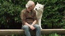 Ein Mann mit grauen Haare und braunem Oberteil sitzt gemeinsam mit einem weißen Wolf eng beieinander 