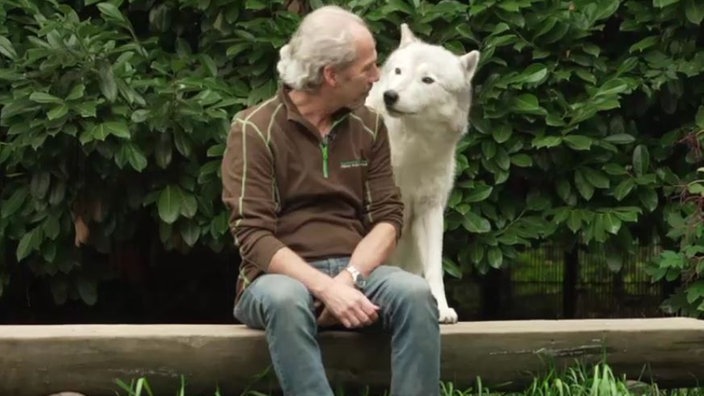 Ein Mann mit grauen Haare und braunem Oberteil sitzt gemeinsam mit einem weißen Wolf eng beieinander 