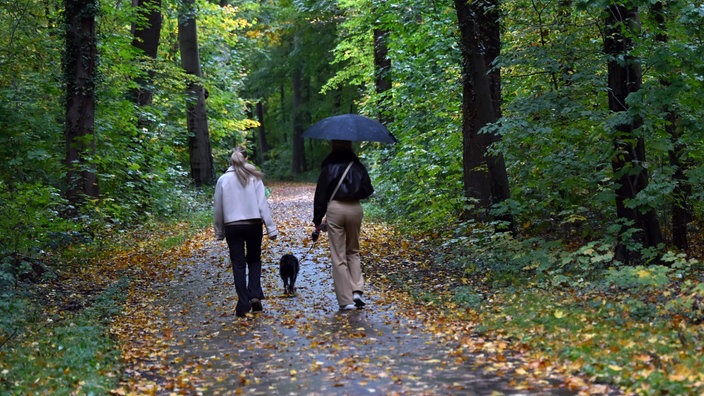Zwei Personen gehen bei herbstlichen Wetter mit einem Hund durch den Wald spazieren 