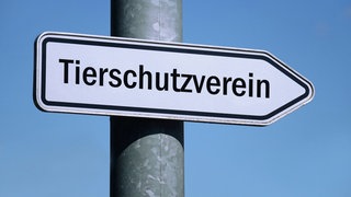 Wegweiser mit der Aufschrift Tierschutzverein