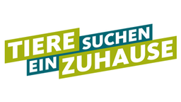 Schriftzug: Tiere suchen ein Zuhause. In grün und petrol