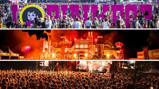 Das Bild zeigt eine Collage. Oben: Ein Schriftzug des Pinkpop-Festivals, der auf einer Wiese steht. Mitte und Unten: Eine Menschenmenge von hinten bei Nacht, die Richtung Bühne blickt.