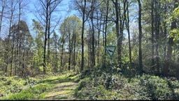 Waldstück und ein Schild mit der Aufschrift. "Naturschutzgebiet"
