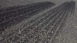Das Bild zeigt zwei Bremsspuren auf Asphalt.