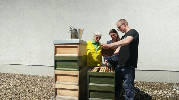 Hela Mikkan, Hariett Oelers und Henricus Stute am Bienenstand 