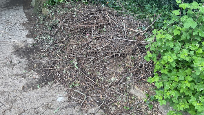 Ein heruntergefallenes Storchnest am Wegesrand.