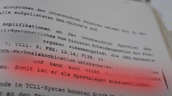 Auszug aus dem Laborbericht