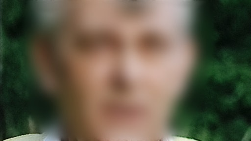 Unkenntliches Portraitfoto von Werner S.
