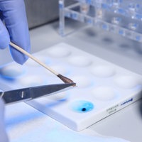 Spurenträger werden auf DNA-Spuren untersucht