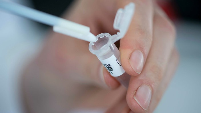 DNA-Probe wird in ein Reaktionsgefäß überführt