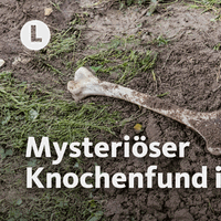 Eine Gartenfläche mit Gras und Erdflecken, in der Mitte liegt ein Knochen, rechts daneben ist eine Schaufel in die Erde gesteckt, auf dem Bild steht "Mysteriöser Knochenfund in Garten"