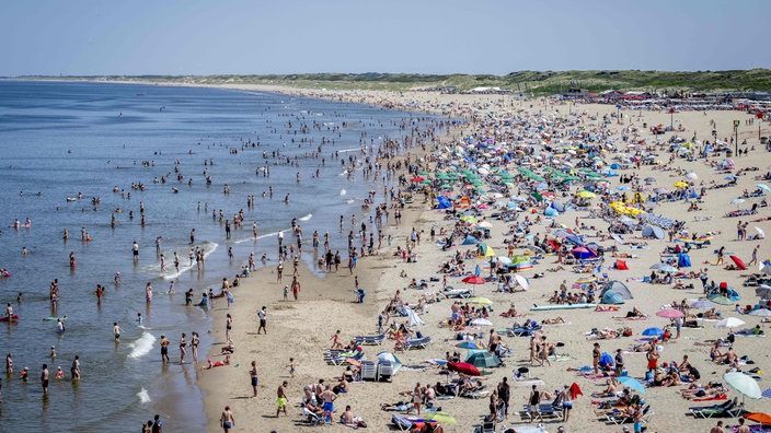 Viele Menschen liegen an einem Sandstrand in den Niederlanden