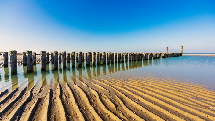 Eine Reihe von Wellenbrechern am Strand