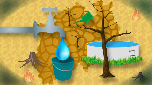 Grafik: Wasserkanppheit in NRW 
