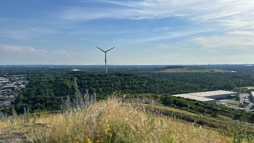 Halde Hoheward bei Herten im Ruhrgebiet