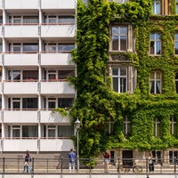 Ein sechsstöckiges Gebäude steht neben einem Altbau, dessen Fassade über und über mit wildem Wein bewachsen ist.