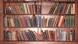 Bücherregal