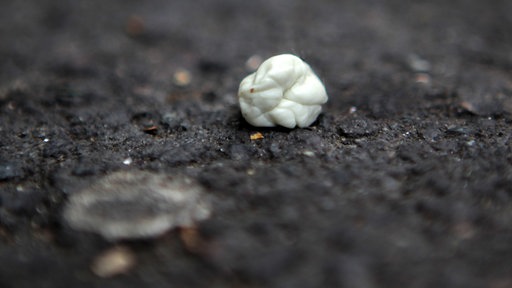 Nahaufnahmen von einem Kaugummi auf Asphalt