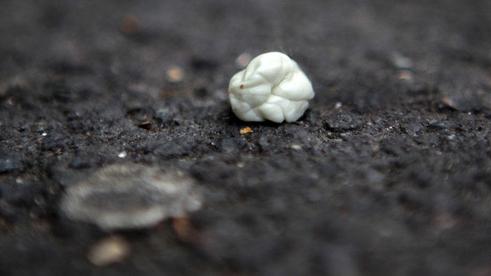 Nahaufnahmen von einem Kaugummi auf Asphalt