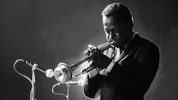 Der Trompeter Miles Davis