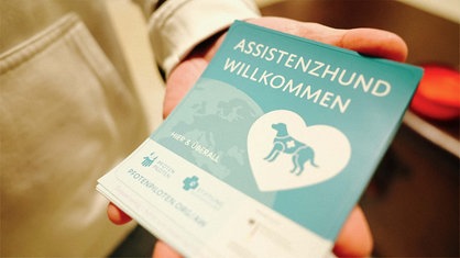 Auf einer Hand liegen mehrere Aufkleber mit der Aufschrift "Assistenzhund willkommen" und einem Hund in einem Herz.