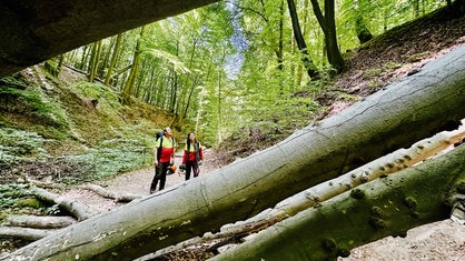 Claudi Herzog steht mit Gerd Müller vor mehren umgefallen Baumstämmen. Hinter ihnen umgibt sie der Wald. 