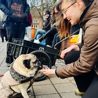 Eine junge Frau streichelt einen Hund, im Hintergrund ein Handwagen mit Futter