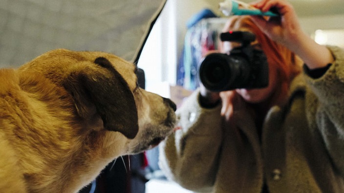 Ein Hund wird mit Paste gelockt, um fotografiert zu werden.