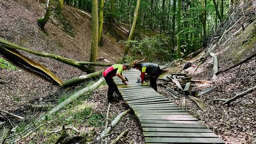 Claudia Herzog und Gerd Müller stehen gebeugt über einem Wandersteg. Beide haben einen Akkubohrer in der Hand, um die Holzplanken auf dem Weg zu befestigen. 