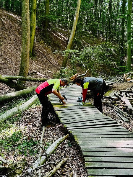 Claudia Herzog und Gerd Müller stehen gebeugt über einem Wandersteg. Beide haben einen Akkubohrer in der Hand, um die Holzplanken auf dem Weg zu befestigen. 