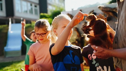 Ein Kind berührt ein präpariertes Eichhörnchen in der Waldschule