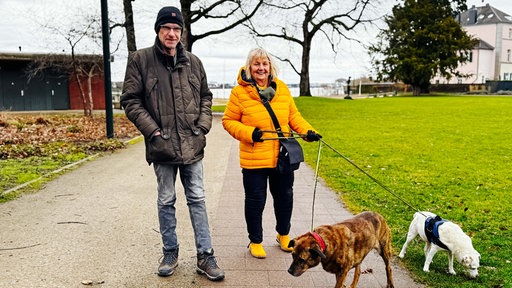 Stefan Becker und Monika Keiler, ein Mann und eine Frau mittleren Alters, spazieren mit zwei Hunden im Park.