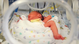 Baby schläft im Brutkasten