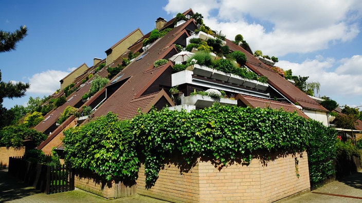 Blick von Außen auf einen Wohnhügel von Marl, ein Haus, das wie ein Dreieck nach oben gebaut ist, man sieht begrünte Terrassen und Balkone