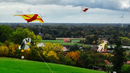 Vier Drachen fliegen in der Luft, einer in Form einer Eule, einer in Form einer Gazelle und zwei gewöhnliche Drachen in eckiger Form