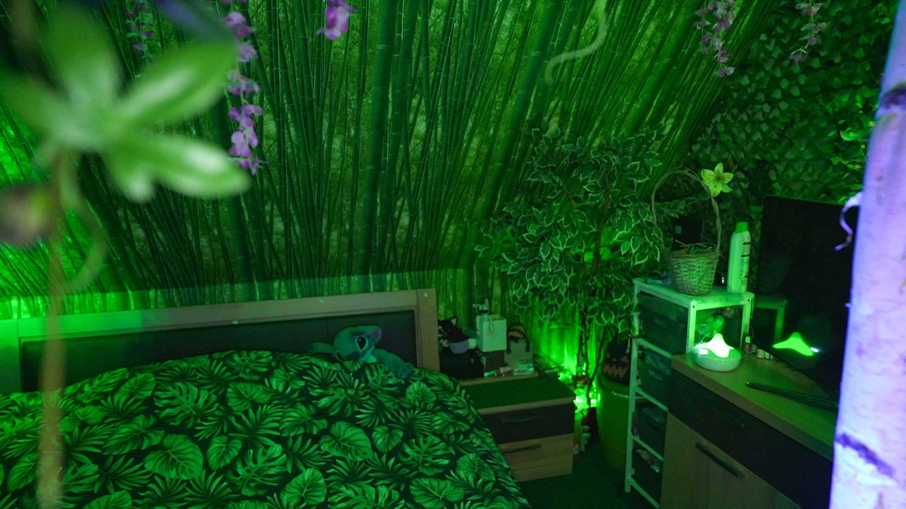 Blick ins Schlafzimmer von Jenny und Andreas, das komplett in grün gehalten ist, die Bettdecke hat ein Blätter-Muster, grünes Licht schimmert und Pflanzen sehen und hängen im Raum 