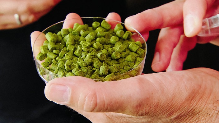 Eine Hand hält eine Schale mit grünen Hopfenpellets