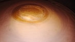 Der Blick in einen Tank, man sieht eine schaumige dunkle Flüssigkeit