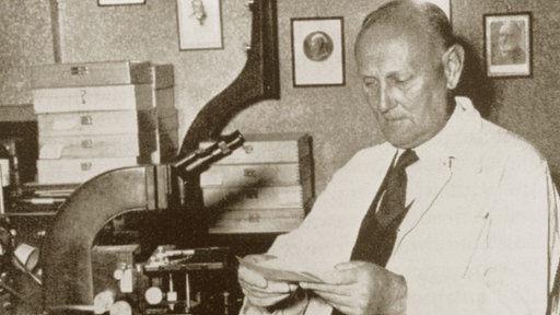 Gerhard Domagk arbeitend in seinem Labor