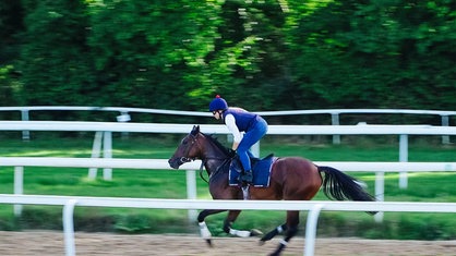 Chantal Warmer galoppiert auf einem Pferd auf einer Pferderennbahn.