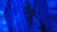 Duschvorhang in blau, darauf einige Palmen, der ganze Raum ist blau ausgeleuchtet
