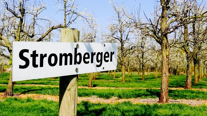 Ein Schild mit der Aufschrift "Stromberger" steht an einer Obstwiese, im Hintergrund weiß blühende Bäume.