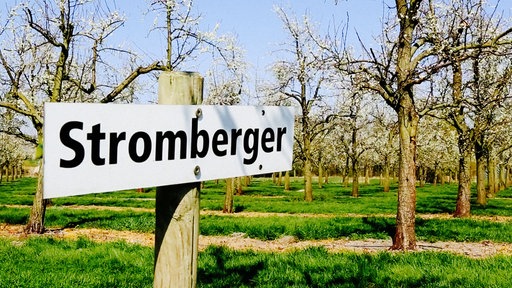 Inmitten einer Pflaumenbaumwiese steht ein Schild.