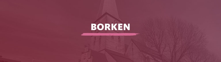 Die Außenansicht der Kirche St. Remigius. Darauf der Schriftzug "Borken".