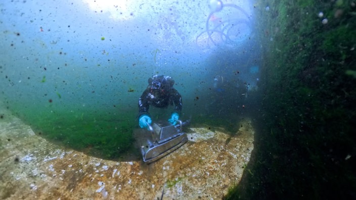 Ein Taucher entfernt Algen vom Boden des Seehundbeckens mit einem Mähroboter