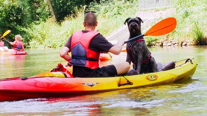 Dominik Kopitzke und Hund Ares paddeln mit einem Kajak durch die Erft.