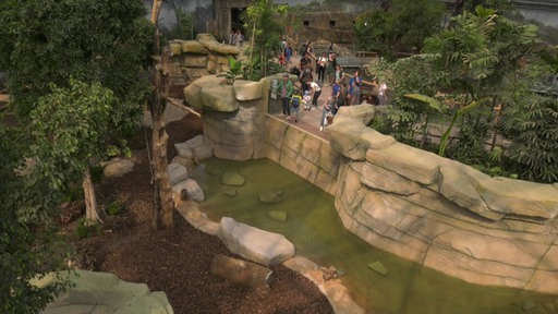 Die Tropenhalle im Allwetter-Zoo Münster von innen.