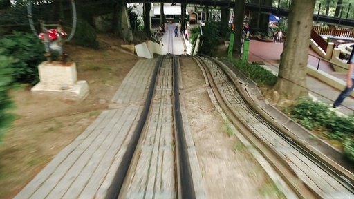 Man blickt die Sommerrodelbahn hinab.