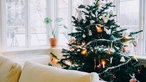 Ein Weihnachtsbaum in einem Wohnzimmer. Hinter dem Baum große Fenster.